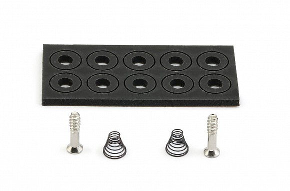 Rear End Suspension Kit - Sprins, Foam Washers and 10mm Long Screws